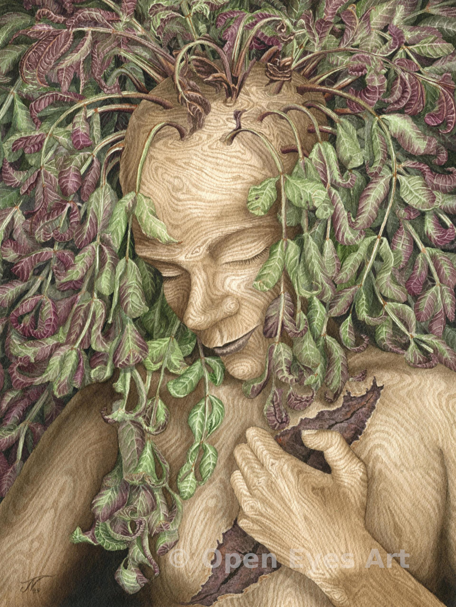 painting of an ash dryad dying of ash dieback