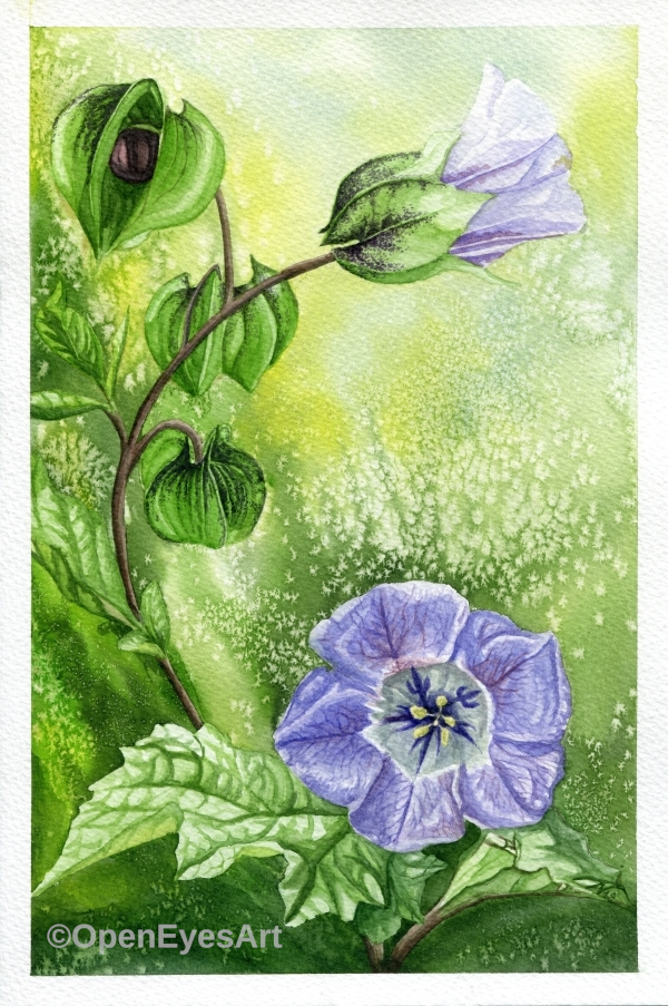 painting of purple flower