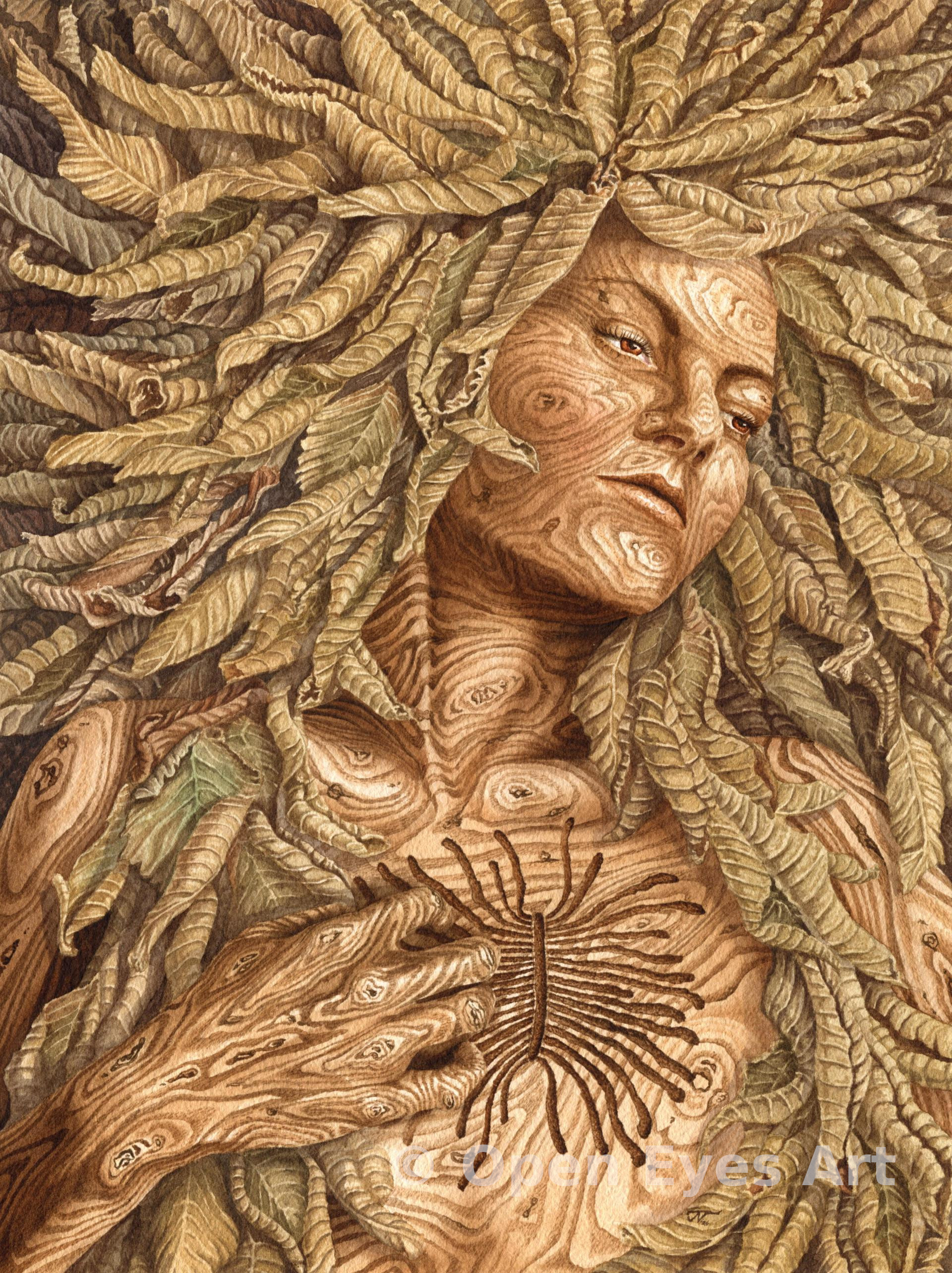 painting of an elm dryad dying of Dutch Elm Disease