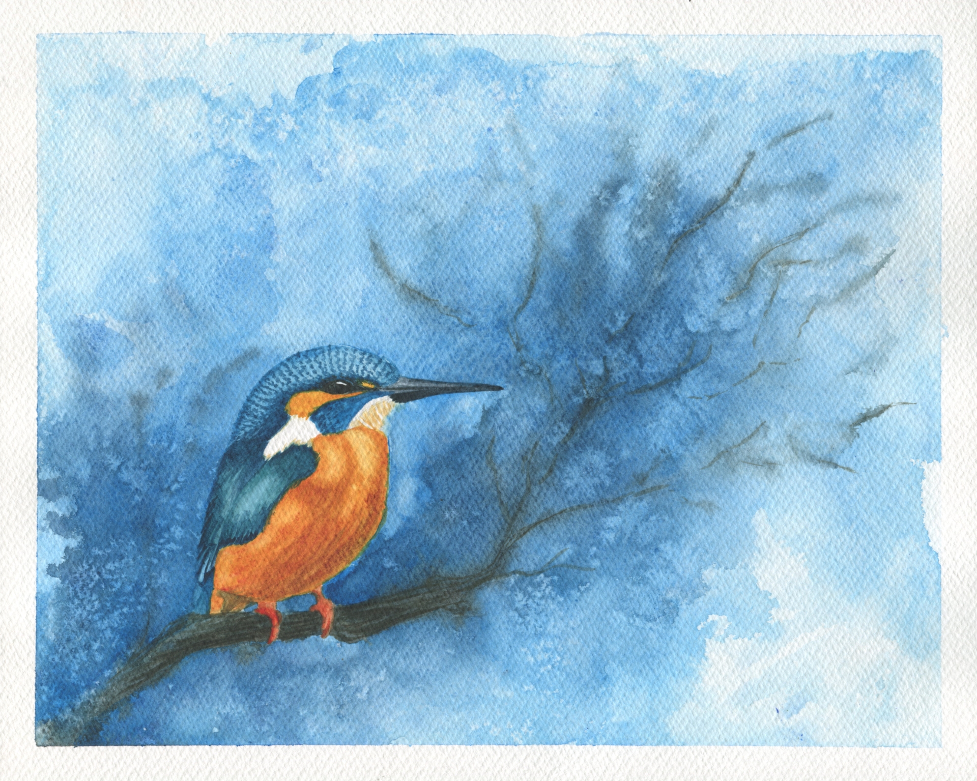 painting of a kingfisher