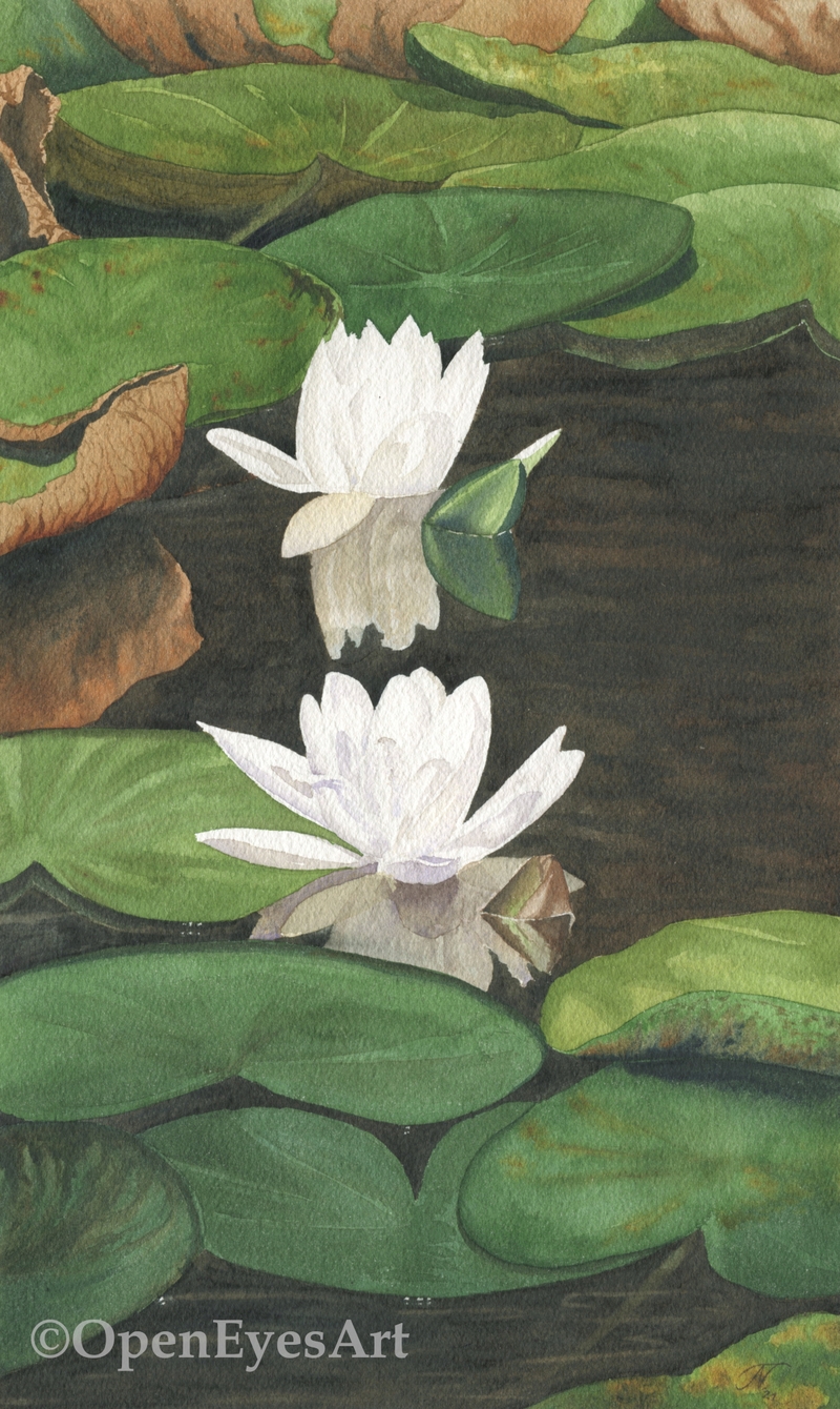 painting of waterlilies in a pond