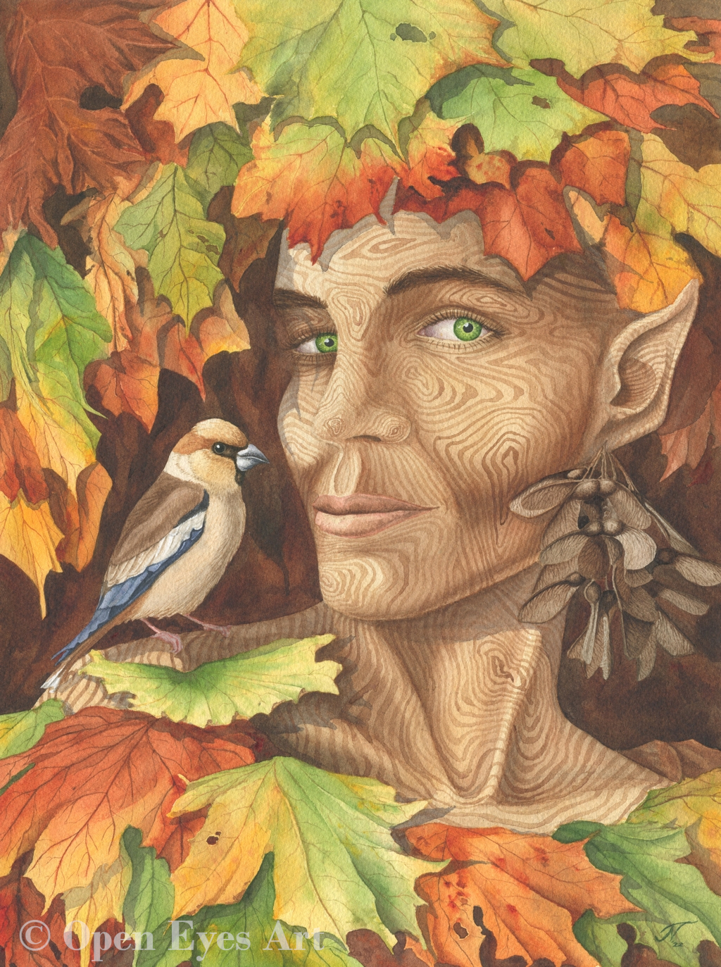 painting of maple dryad