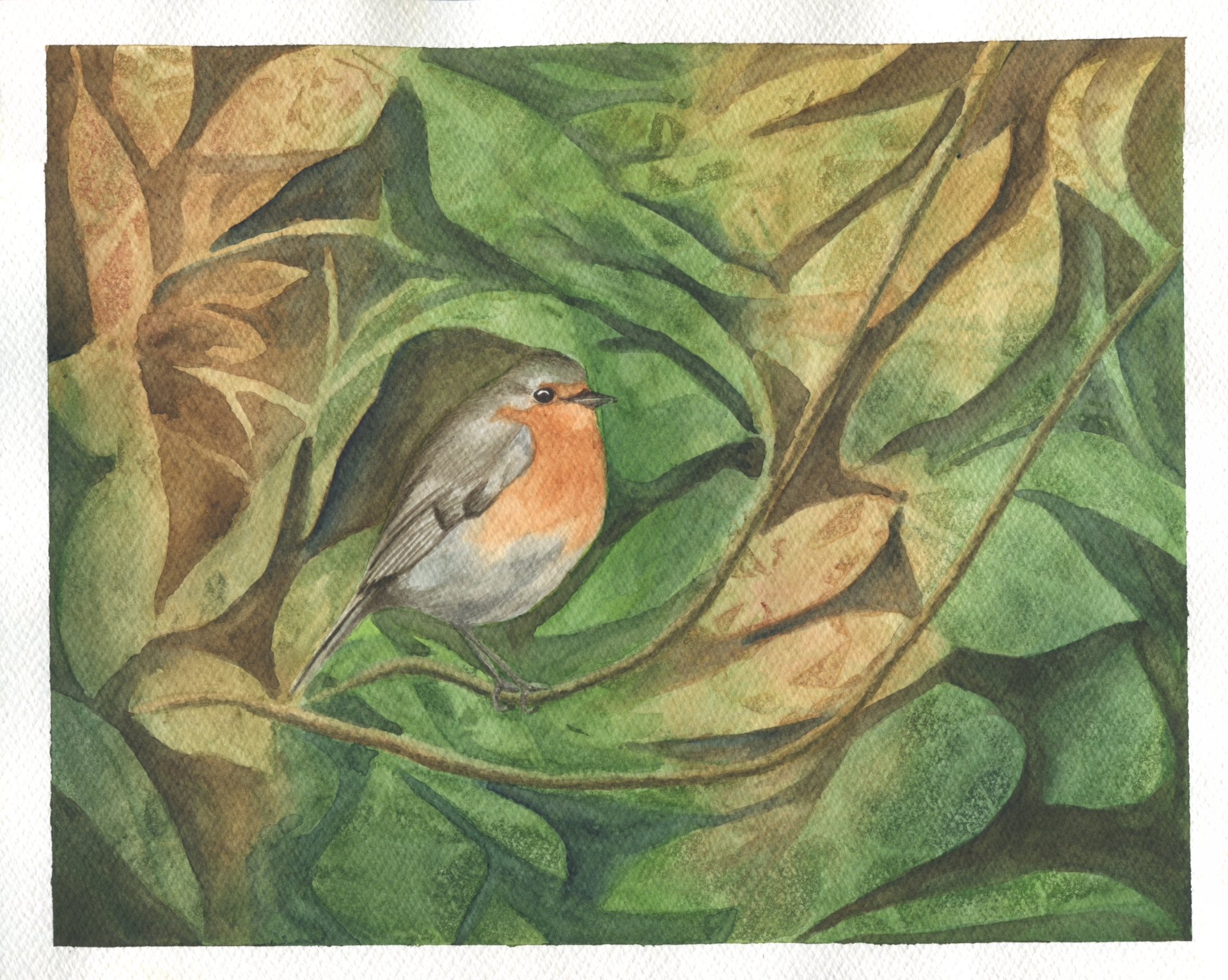 painting of a robin between leaves