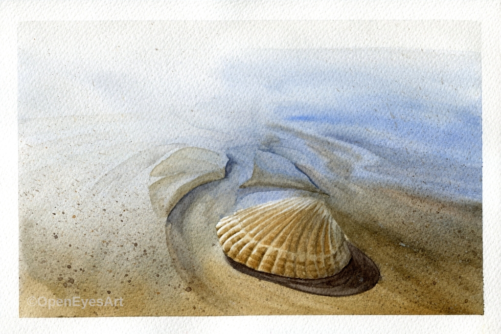 painting of seashell on the beach